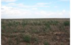 Property photo 11 - LAND AUCTION, 3255+/- Acres offered in 13 Tracts